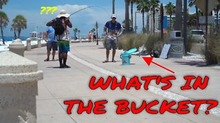 The Bucket Fishing Challenge - Clearwater Beach! $$