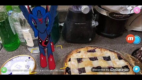 Blueberry Pie with Blueberry Icecream & Peppermint Chocolate cake!