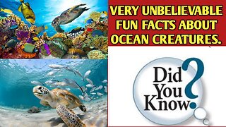 Very unbelievable fun facts about ocean creatures