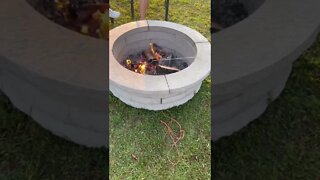 Cooking hotdogs over a fire