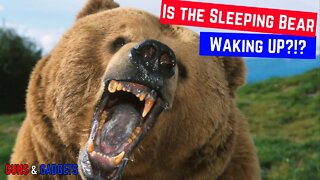 Is The Sleeping Bear Waking Up?!?