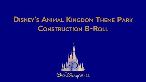 Disney's Animal Kingdom Construction Footage Tree of Life Walt Disney World Resort 50th Anniversary