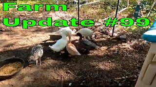 Farm Update #99