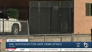 Teen girl sentenced for hate crime attack