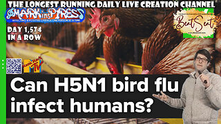 May Want To Pass on The Chicken: Bird Flu Endemic?