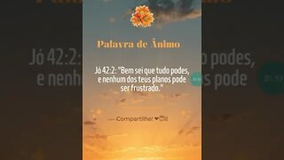 Os planos de Deus não podem ser frustados - Palavra do Dia Hoje