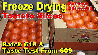 Batch 610 Freeze Drying Tomato Slices & Checking/Testing a Bag