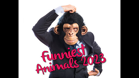 Funniest Animals 2023