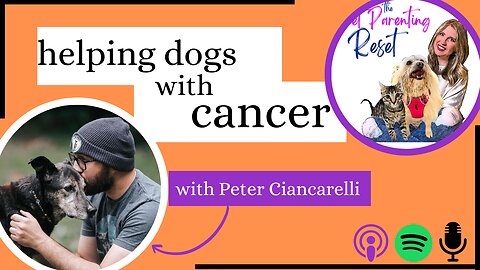 Helping Pets and their parents with Cancer