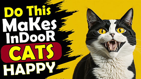 How to Keep Indoor Cats Happy ?
