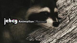 Jebcg Animation | Raccoon