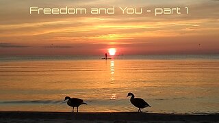 Freedom and You.