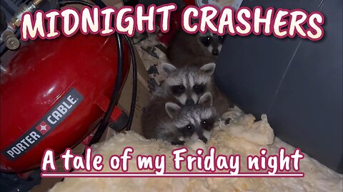 Midnight Crashers a tale of my Friday night.