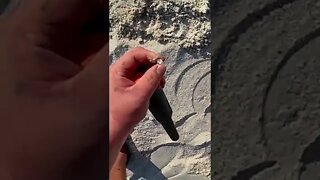 Metal Detecting Florida Beach for Treasure
