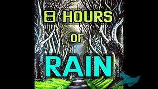 THE SOUND OF RAIN - 8 HOURS [ #006 ] 🐝