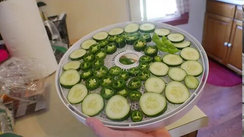 Dehydrating For My Spice Mix - I Made A BIG MISTAKE