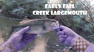 Early Fall Creek Bass