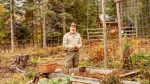 Planting Garlic and Harvesting the Last of the Vegetable Garden, Late October in Canada