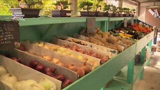 For nearly 45 years, Keystone Farmer's Market makes fresh, local food available