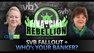 Catherine Austin Fitts - SVB Collapse + Who's Your Banker?