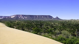 What's the Buzz About Brazil's 16 New Archaeological Sites?