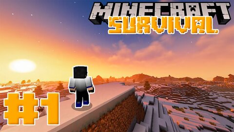 Minecraft Survival #1: Começando muito bem!