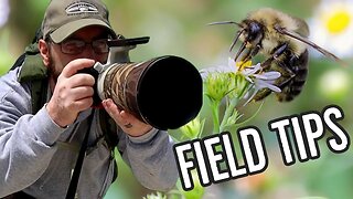 TWO Wildlife Photography tips for BEGINNERS to better your field skills