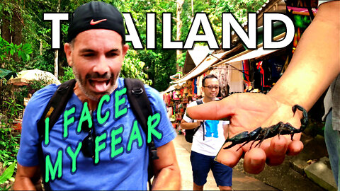 Scorpions, Waterfalls, and Hikes | KO SAMUI THAILAND