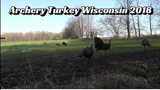 Archery Turkey Wisconsin 2018