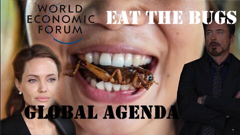 EAT YOUR BUGS! Global agenda in full steam