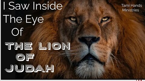 Vision: Lion of Judah and Clouds Descending to Earth!