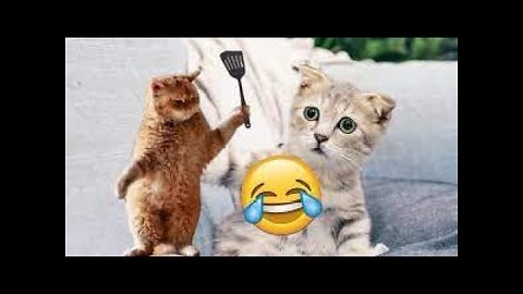 World Best Funniest🤑 Cat vs animal vs Kid 😃 Entertainment Don't Try Laughing 🤣 2024 clips 🫡