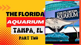 Places to go: The Florida Aquarium (Part Two), Tampa, FL