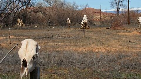 Mysterious Animal Bladders on Skinwalker Ranch