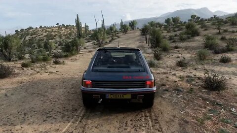 Peugeot 205 T16 - Forza Horizon 5