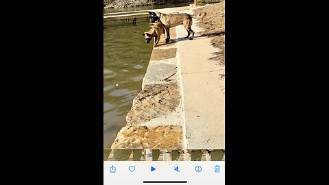 Cowboy pushes Peaches off of the sea wall.