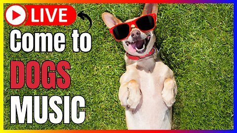 🔴 Live Dogs Life 🐶 TV for Dogs | Dogs Calming Music #viraldogs #dogslife #animals