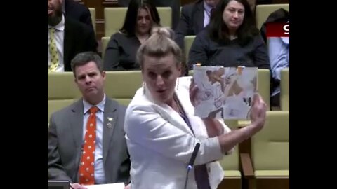 Reading graphic porn to the Va Senate