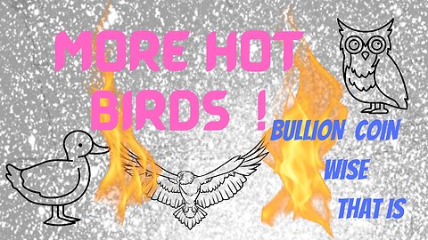 MORE hot Birds