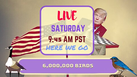 Saturday *LIVE* 6 Million Birds Edition