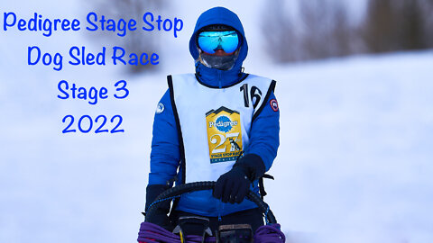 Pedigree Stage Stop Dog Sled Race
