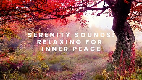 "Nature's Serenity: Meditative Journey amidst Natural Harmony"