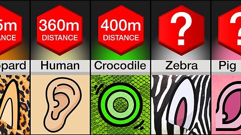 Comparison: Animals Ranked By Hearing