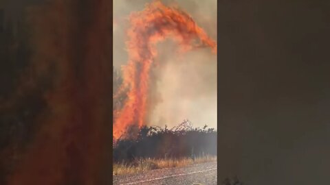 Impresionante fuego de dragón. Lucha contra los incendios forestales en España (2022)