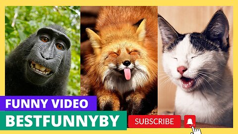 best funniest animal videos 2023 😂 funny cats and dogs 😹🐶 giraffe
