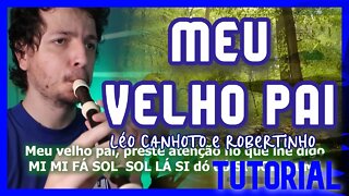 MEU VELHO PAI - Léo Canhoto e Robertinho TUTORIAL FLAUTA DOCE e outros instrumentos