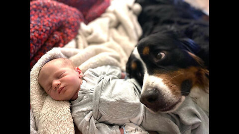 12 Months Of Friendship In 12 Minutes _ My Dog Loves Our Baby