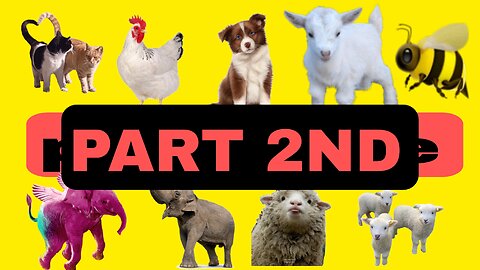 All types of animals are in this video part 2 #russia #dogs #cats #animalb