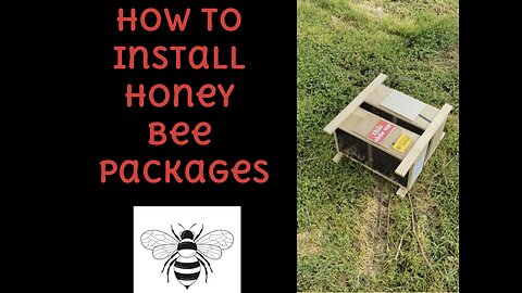 How to install honey bee packages. Part 2 of our honey bee series.