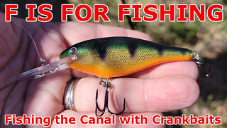 Fishing the Canal with Crankbaits
